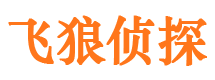 萝岗婚外情调查取证